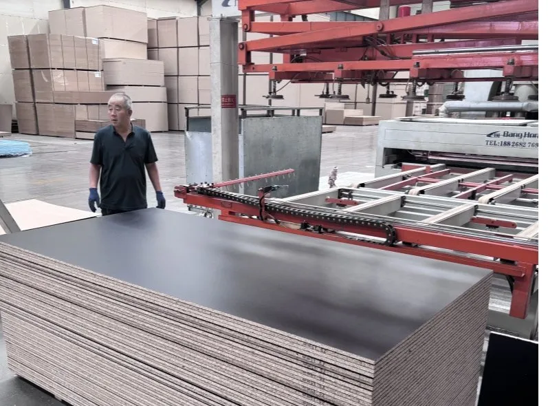 High-Gloss Particle Board