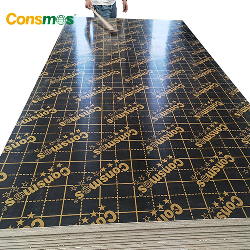 1250X2500mm 12mm 18mm Marine Plywood Film Faced Plywood for Construction