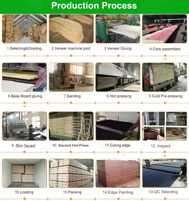 Production Process