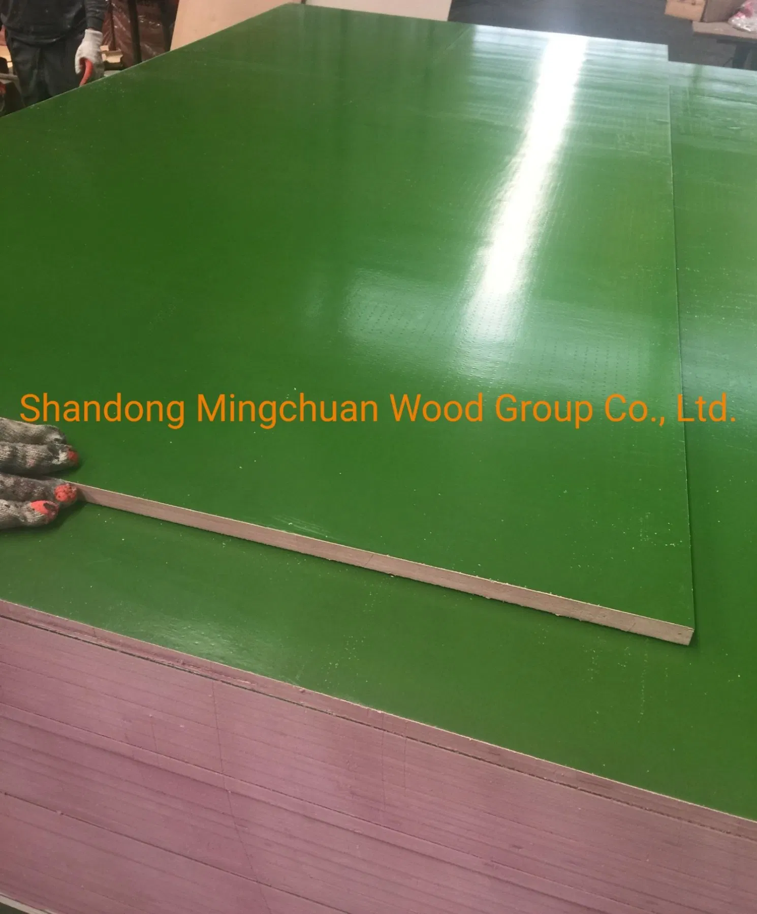 Green PP Film Faced Plywood Hardwood Plywood Construction Plastic Coated Plywood