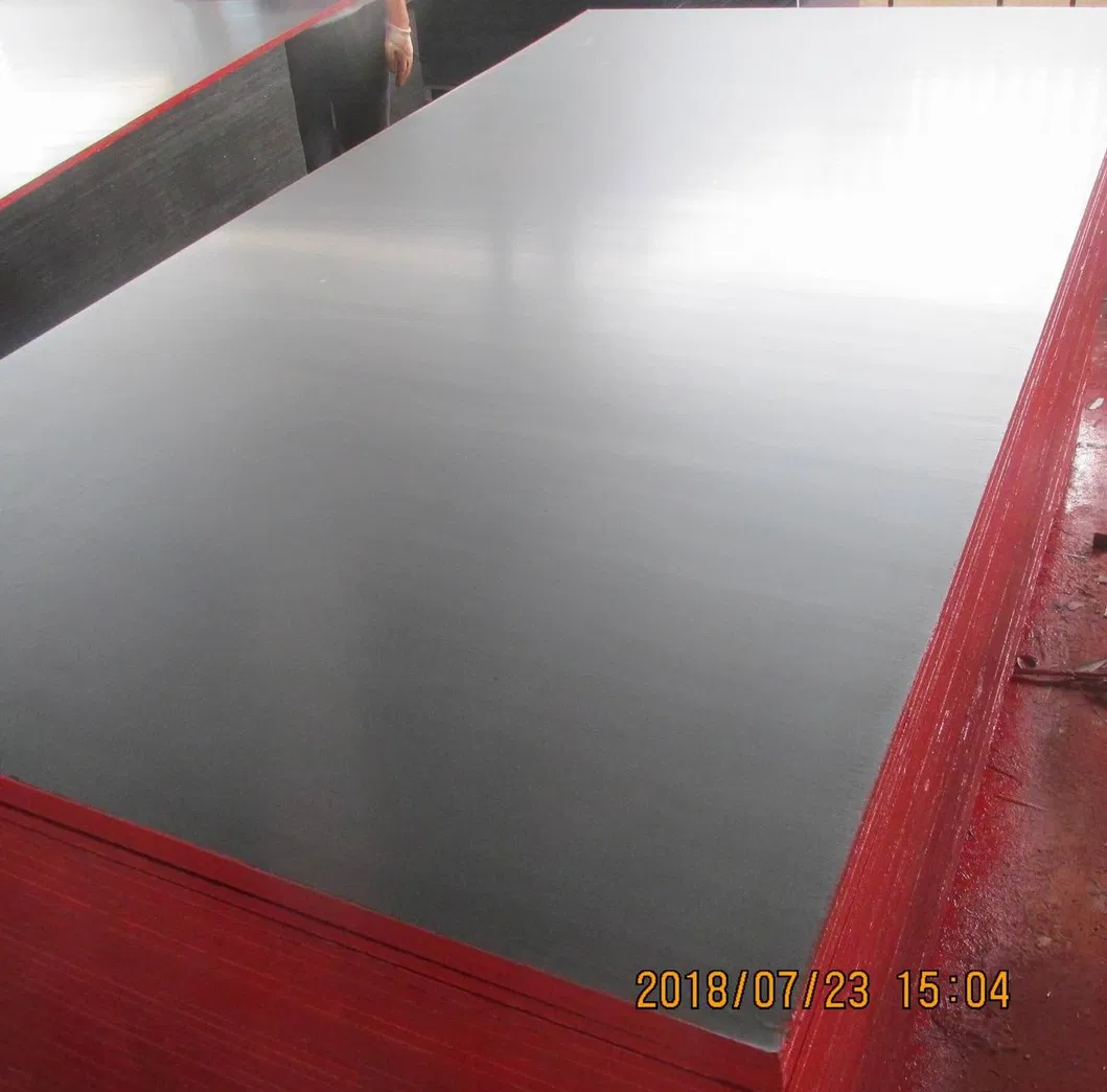 Film Faced Plywood View 2