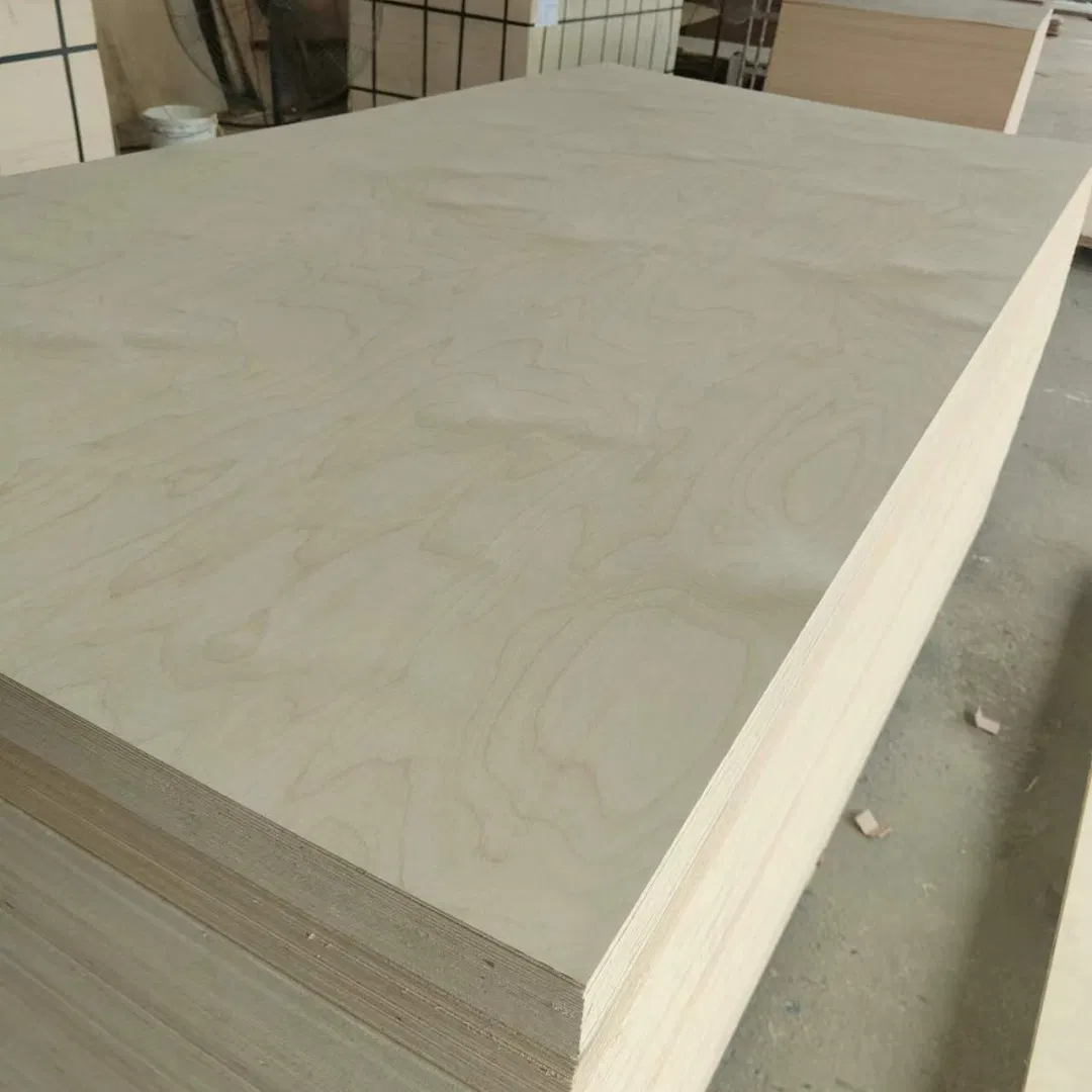 UV Phenolic Marine Plywood Birch Laminated Plywood for Desktop