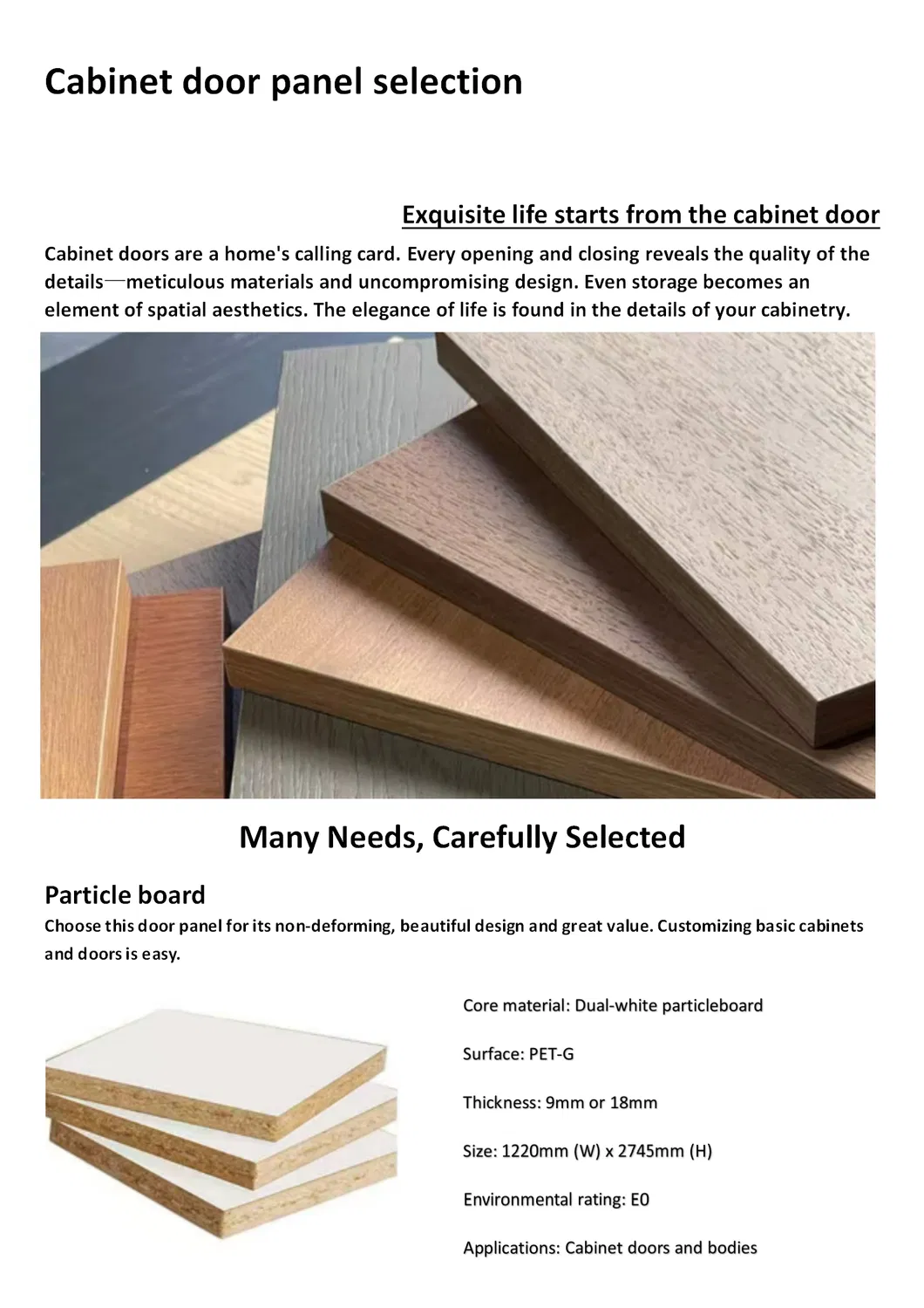 Security Door Detail 2