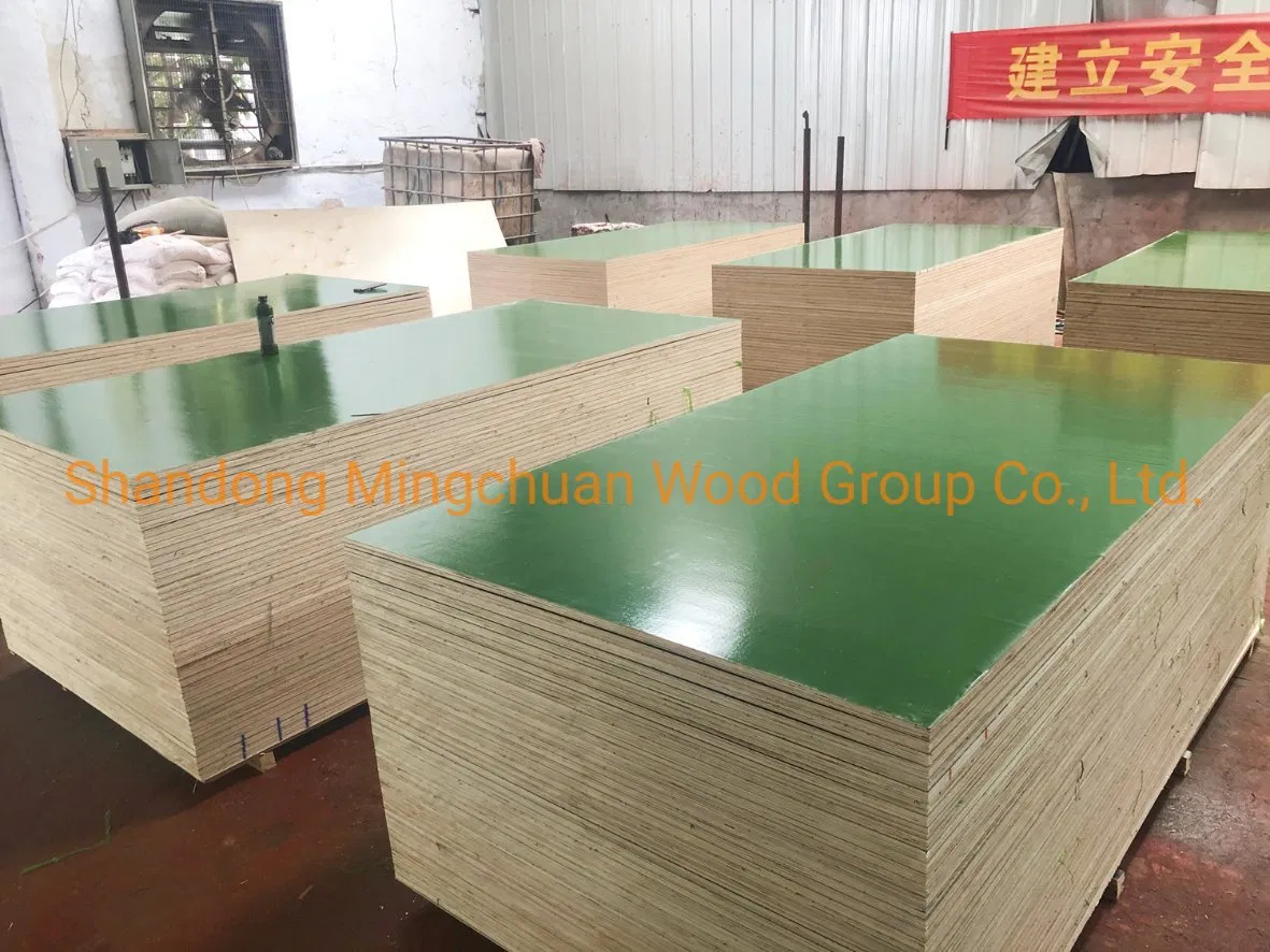 Green PP Film Faced Plywood Hardwood Plywood Construction Plastic Coated Plywood