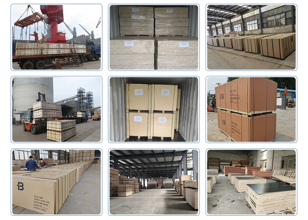 Professional Packaging