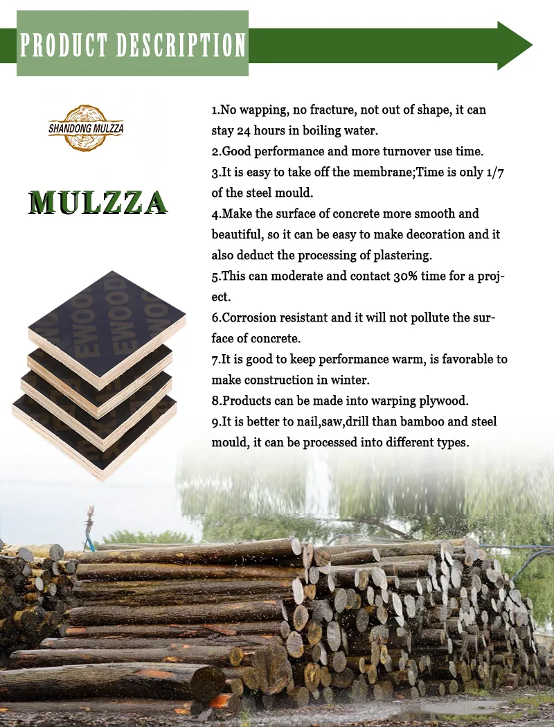 18mm Marine Plywood Board Hardwood Film Faced Concrete Formwork Panel Plywood