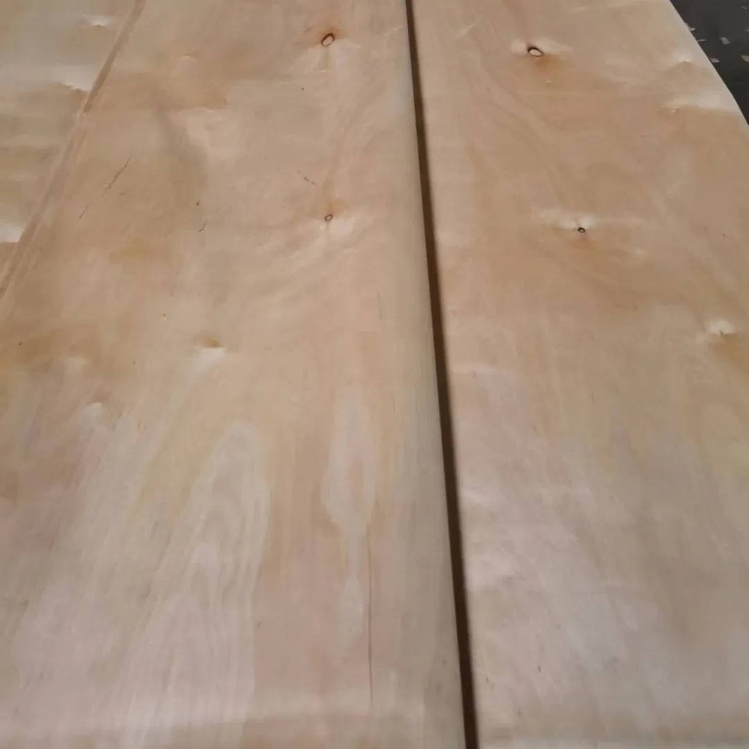 UV Phenolic Marine Plywood Birch Laminated Plywood for Desktop