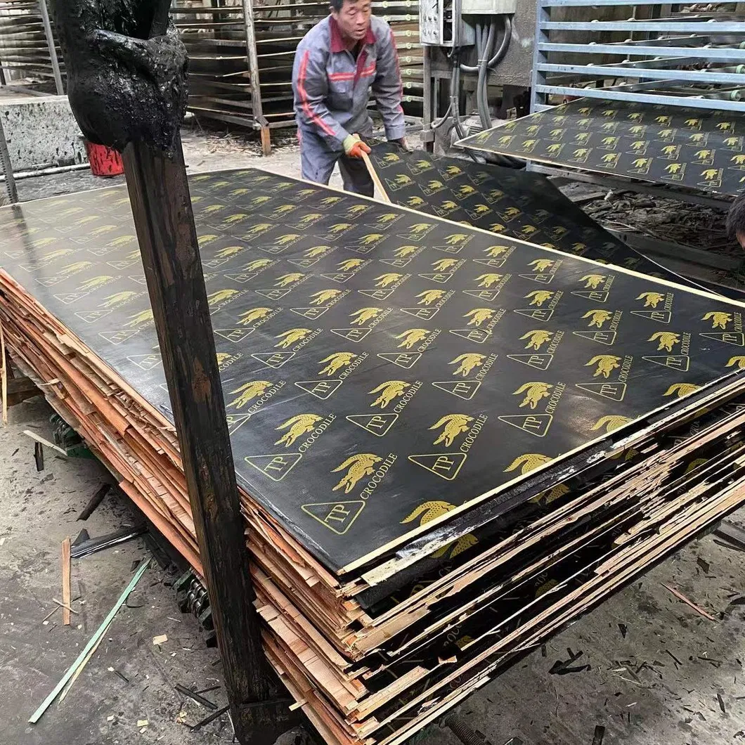 Black Film Faced Plywood