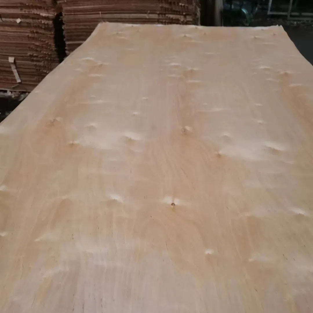 UV Phenolic Marine Plywood Birch Laminated Plywood for Desktop