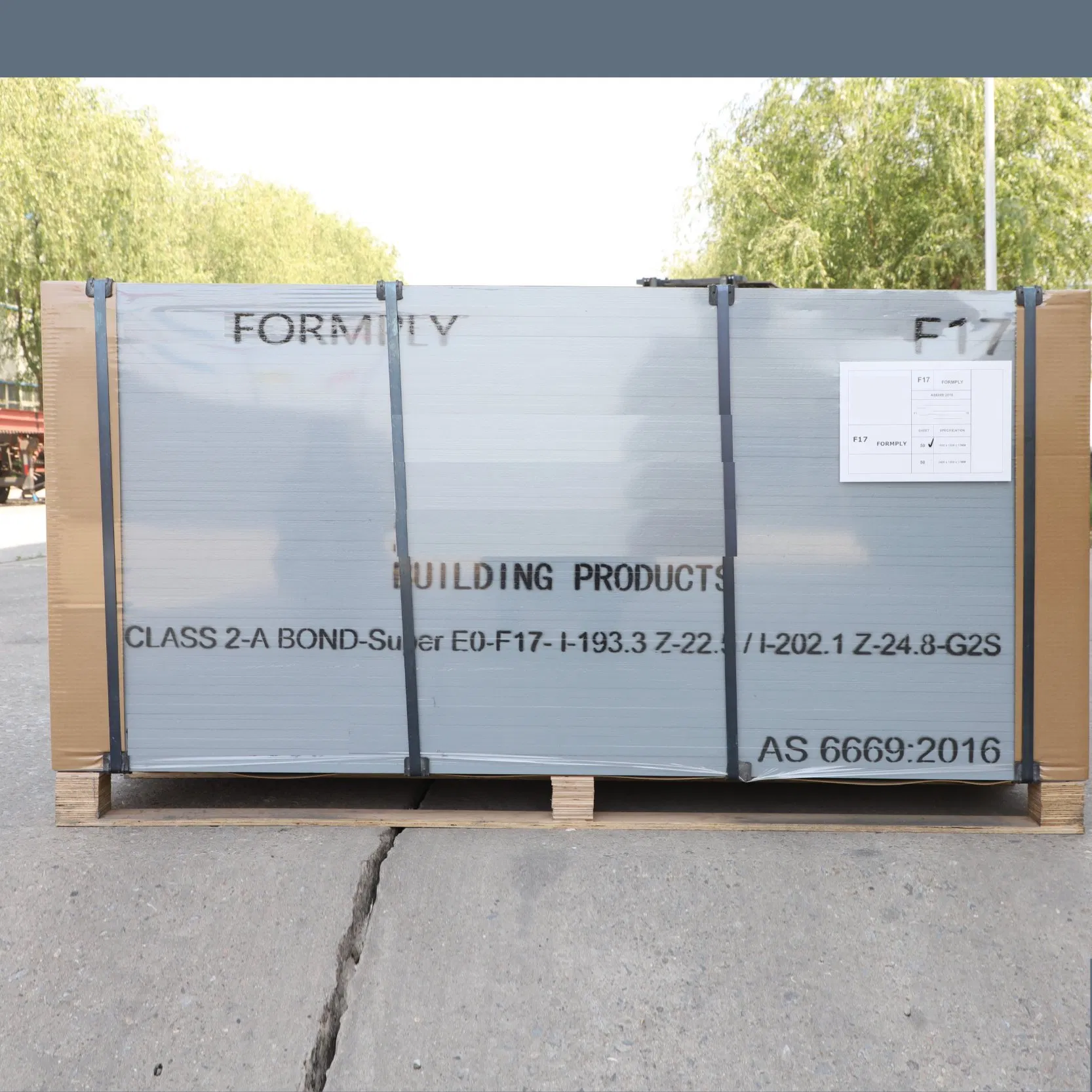 1250X2500mm 12mm 18mm Marine Plywood Birch Faced Plywood Board for Construction