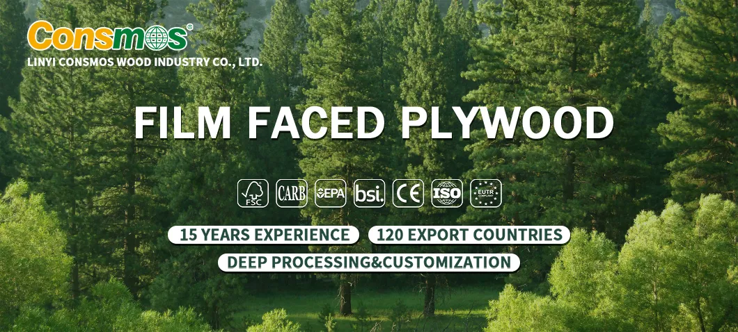 Marine Laminated Wood Timber Birch Shuttering Film Faced Plywood