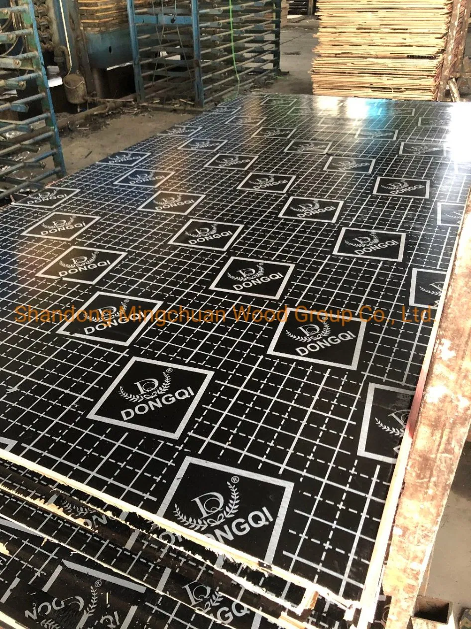 Shuttering Plywood Building Materials Film Faced Plywood Marine Plywood