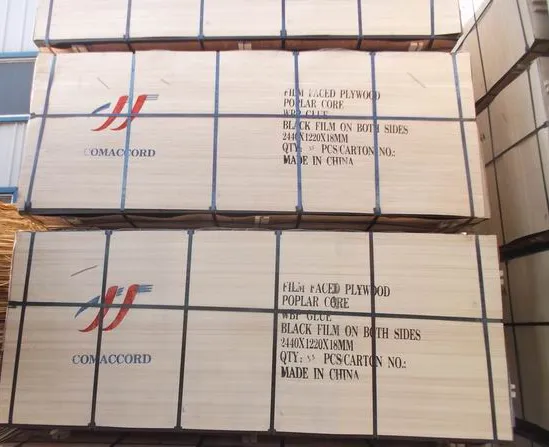 Film Faced Plywood View 5