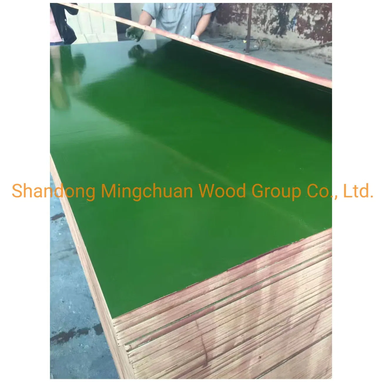Green PP Film Faced Plywood Hardwood Plywood Construction Plastic Coated Plywood