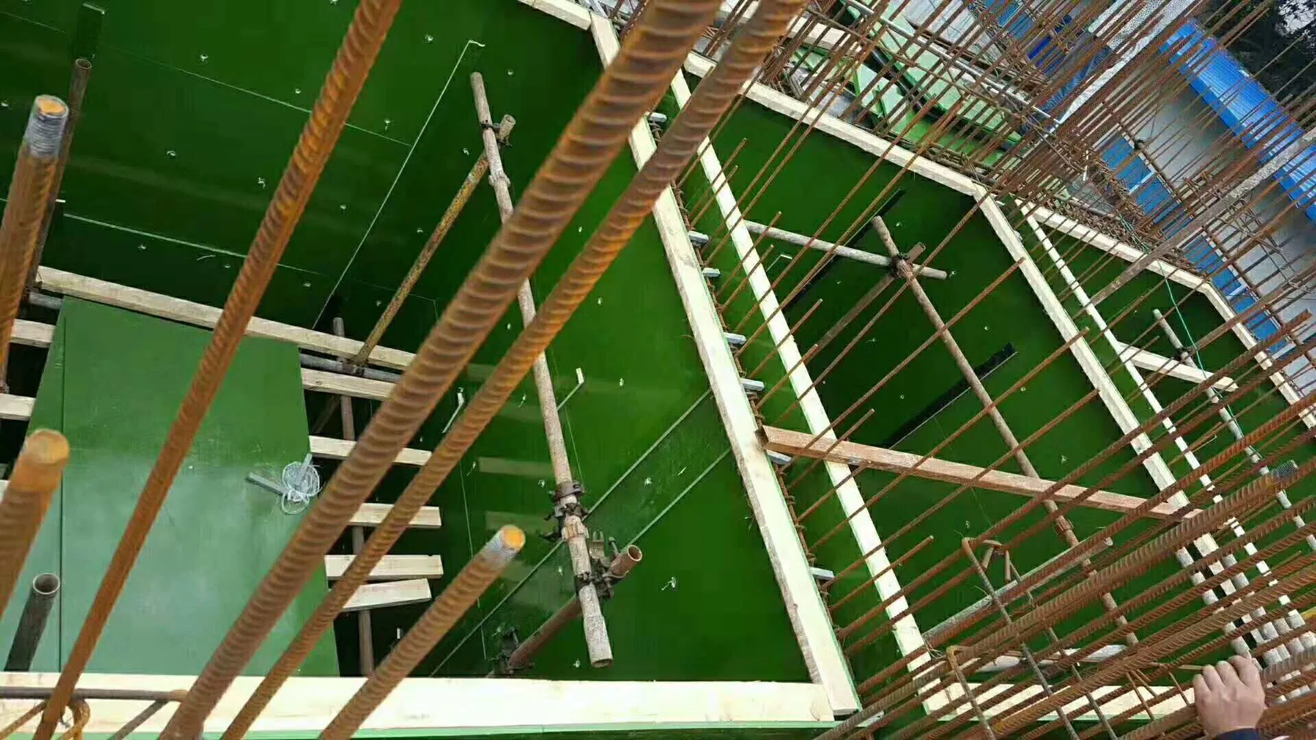 Green PP Film Faced Plywood Hardwood Plywood Construction Plastic Coated Plywood