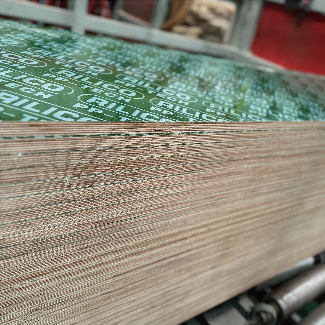 Waterproof 18mm Green PP Plastic Film Faced Plywood Formwork Construction Plastic Plywood