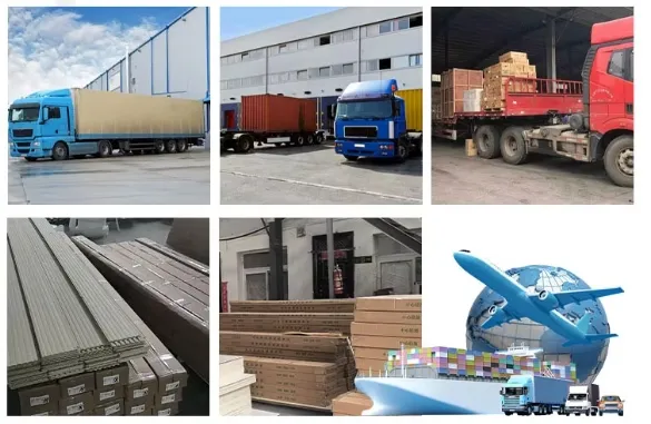 Shipping and Logistics