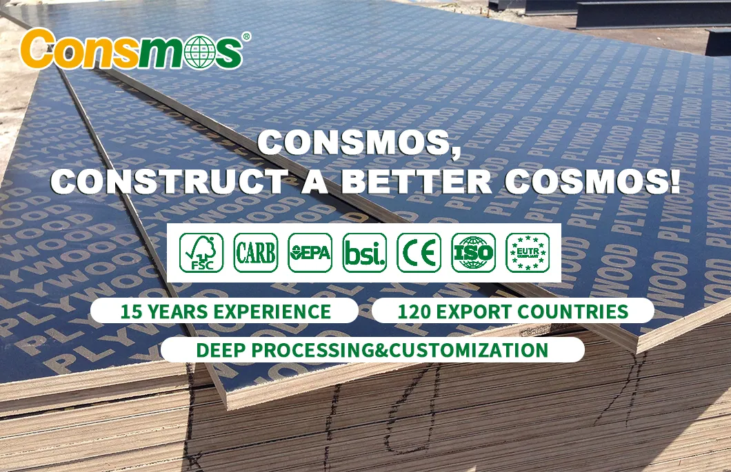 Shuttering Marine Plywood