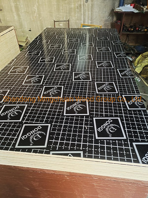 Shuttering Plywood Building Materials Film Faced Plywood Marine Plywood