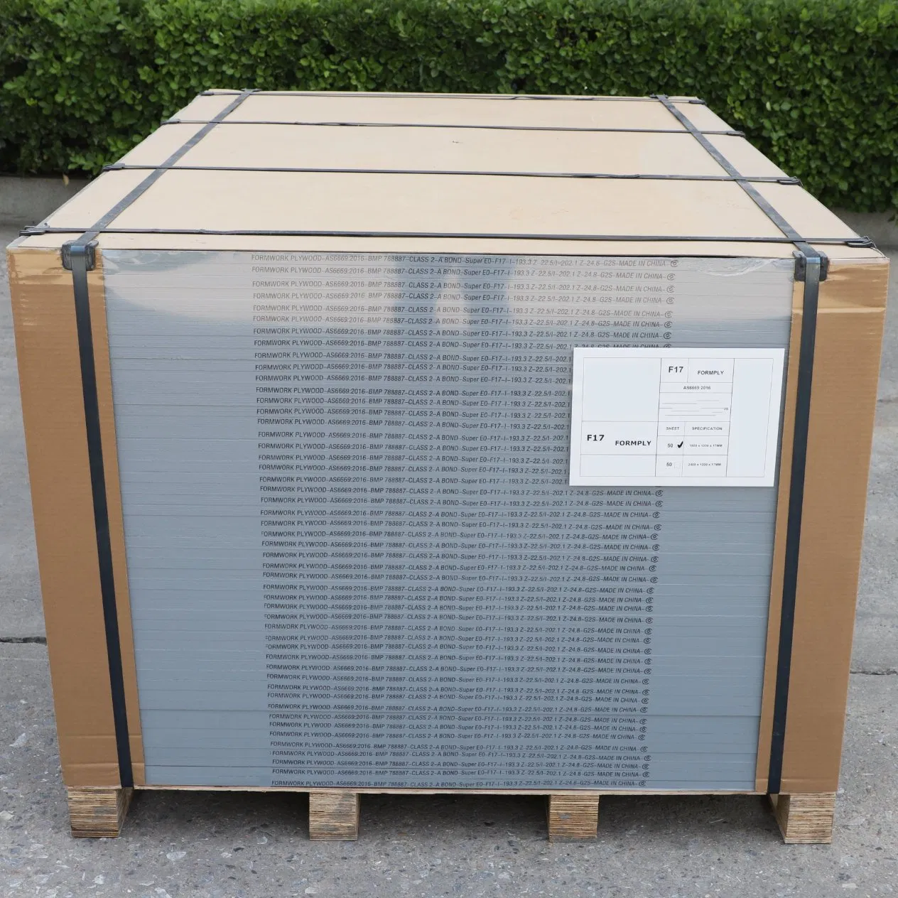 1250X2500mm 12mm 18mm Marine Plywood Birch Faced Plywood Board for Construction