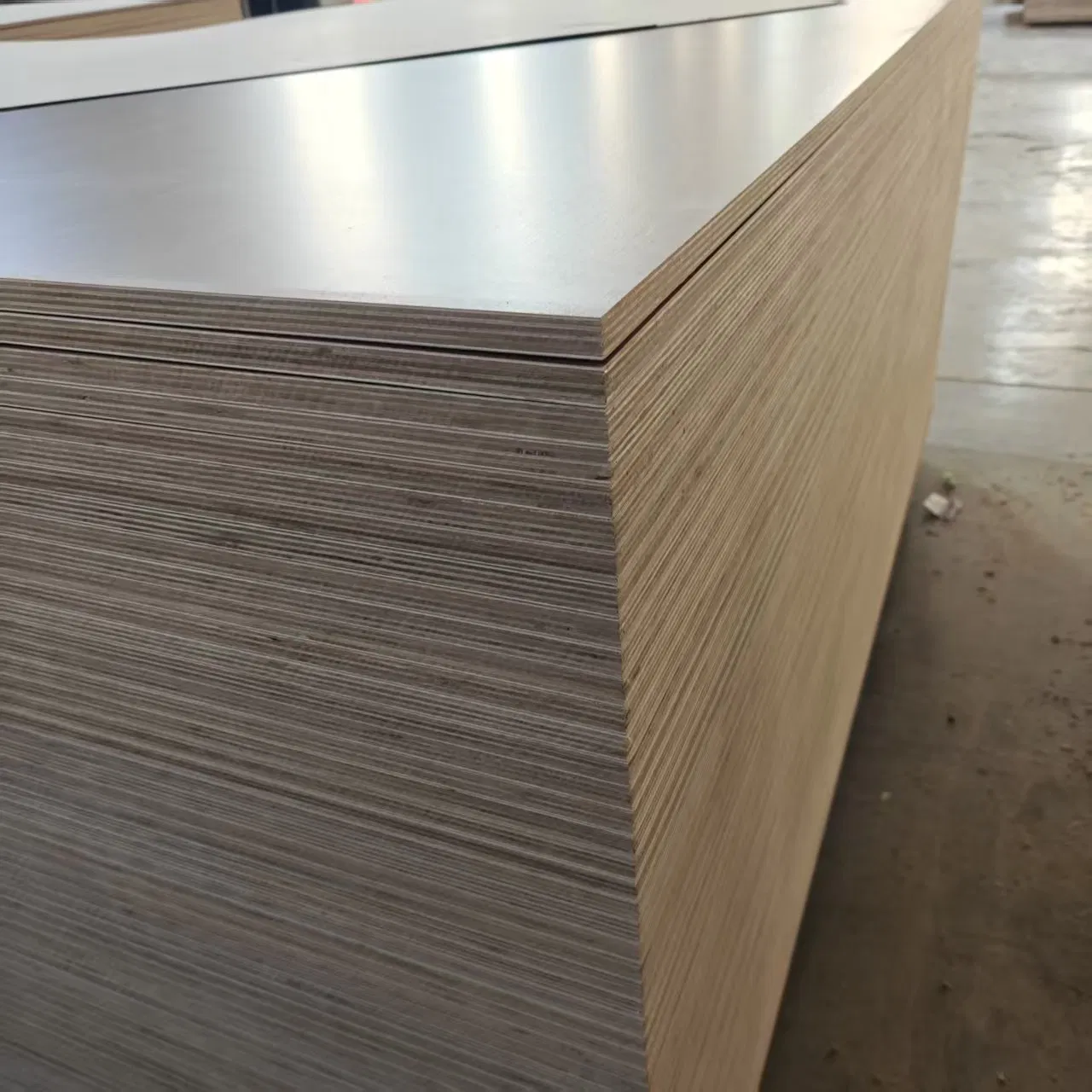 1220*2440*18mm E0/E1/E2 Glue Waterproof Film Faced Commercial Birch Board Melamine Plywood