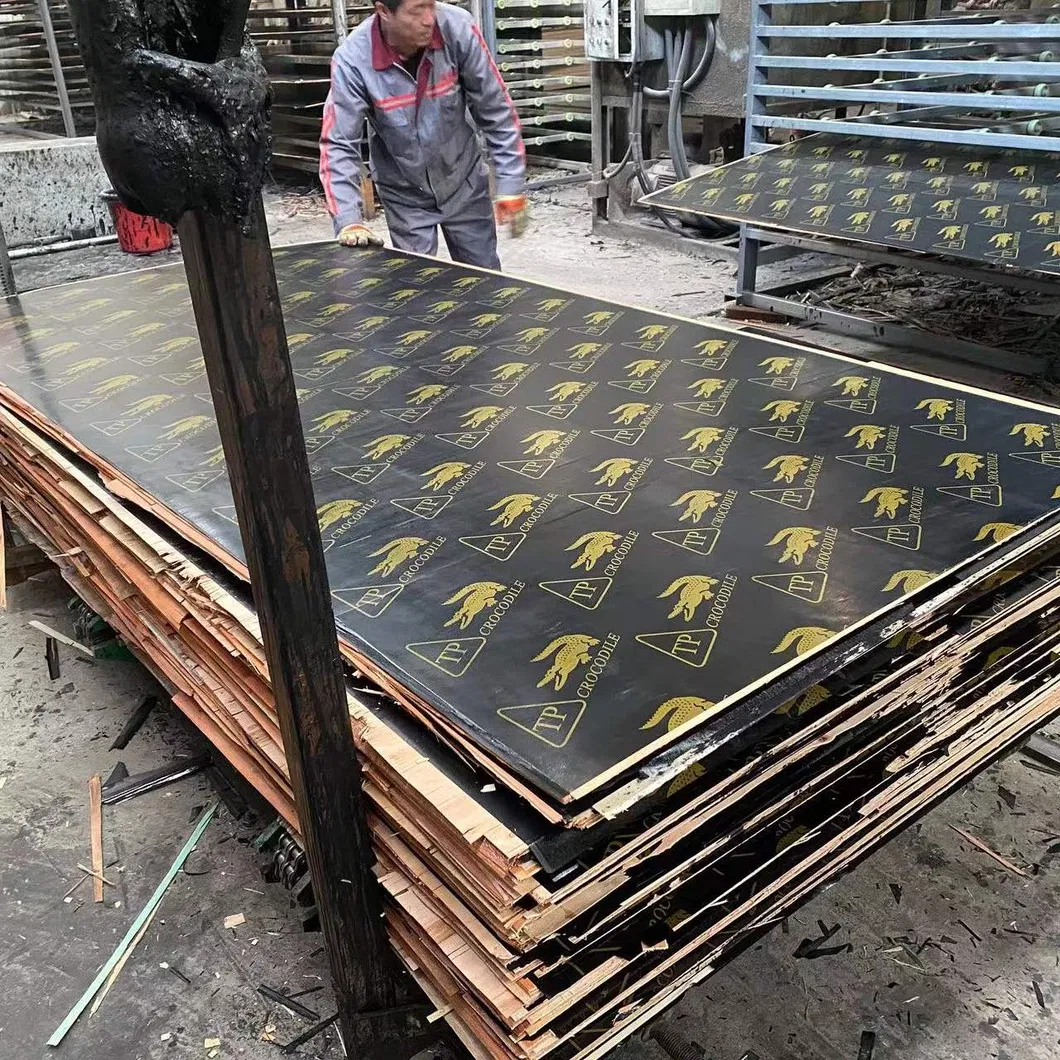 Black Film Faced Plywood