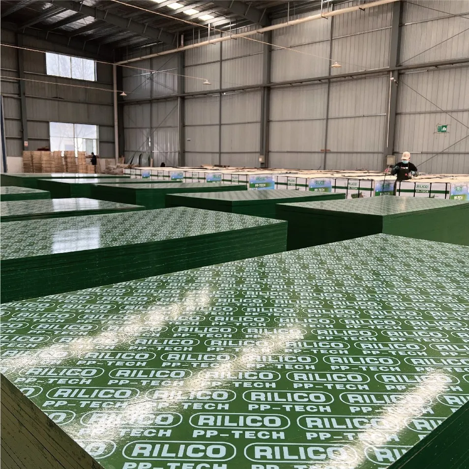 Green PP Plastic Surface