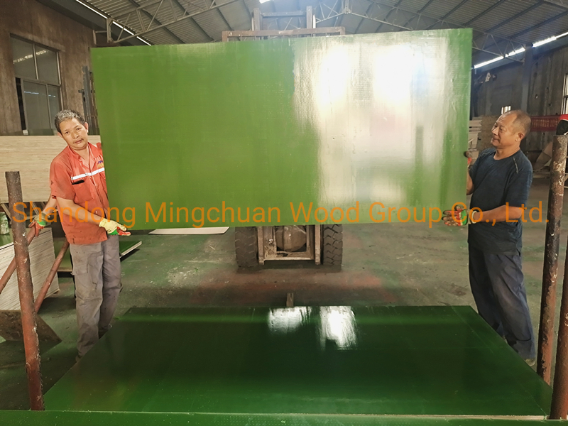 Green PP Film Faced Plywood Hardwood Plywood Construction Plastic Coated Plywood