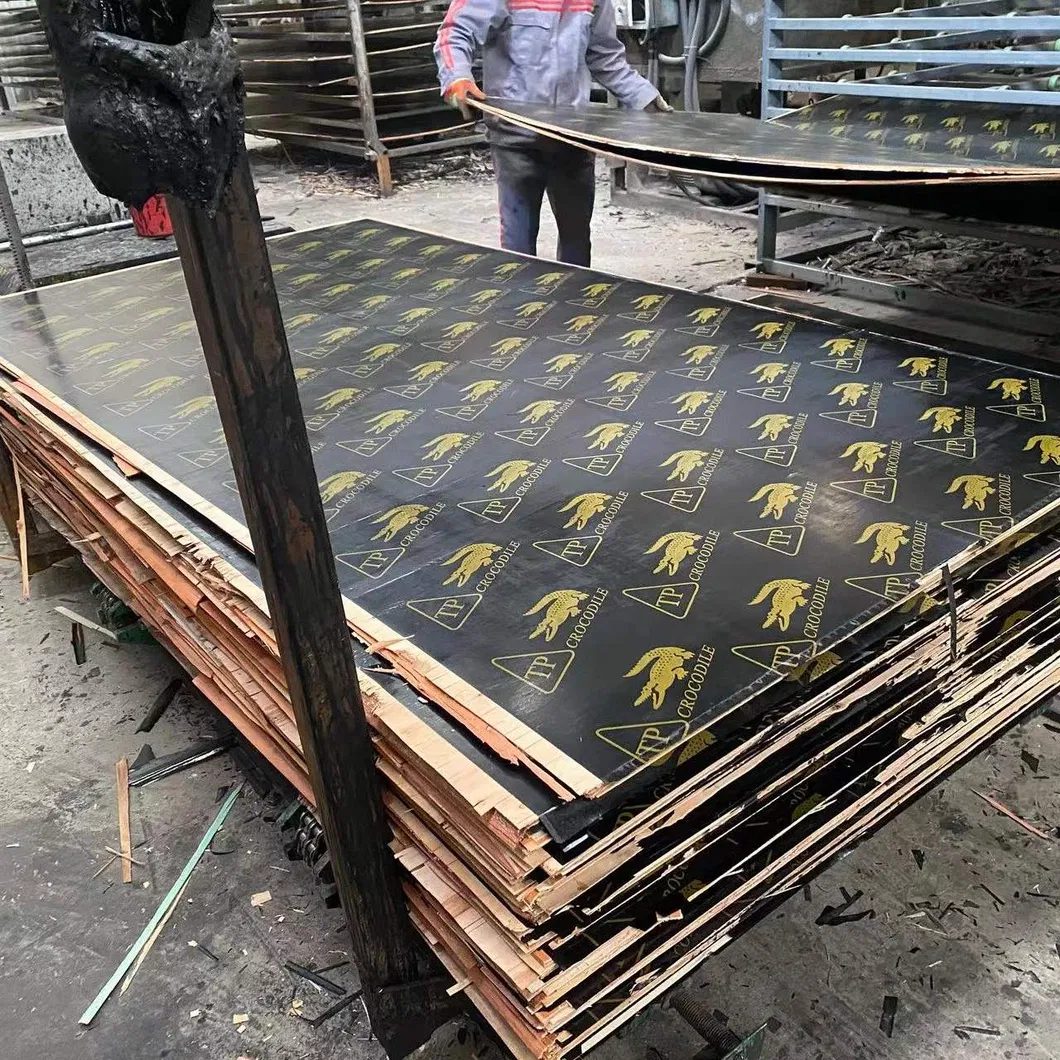 Black Film Faced Plywood