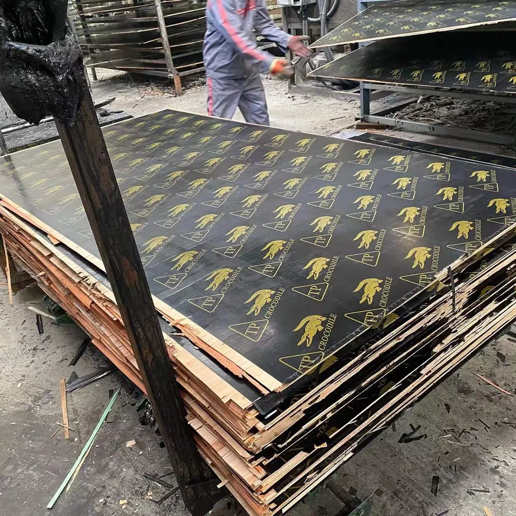 Black Film Faced Plywood