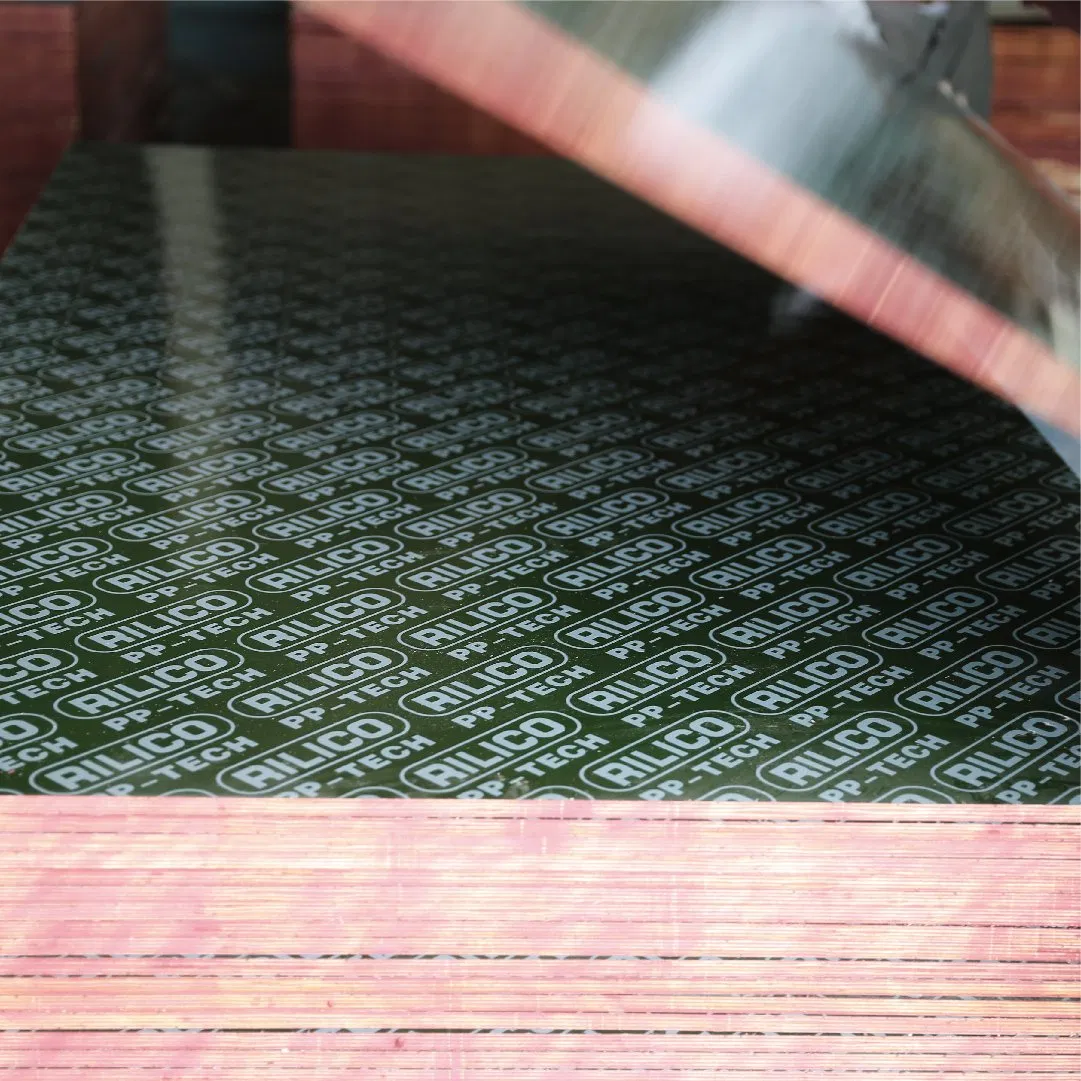 Waterproof 18mm Green PP Plastic Film Faced Plywood Formwork Construction Plastic Plywood