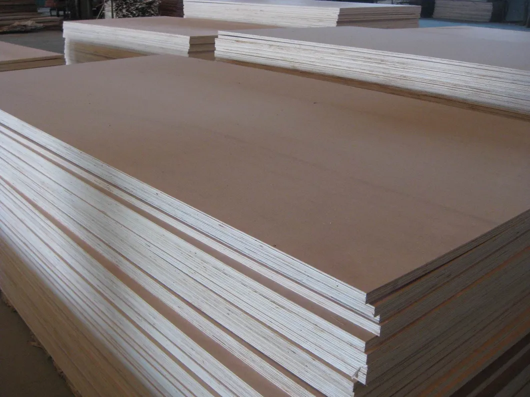 Large Plywood Sheet