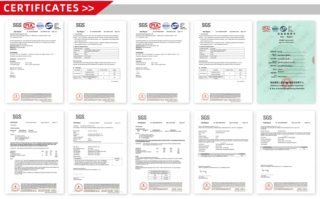 Certification Showcase