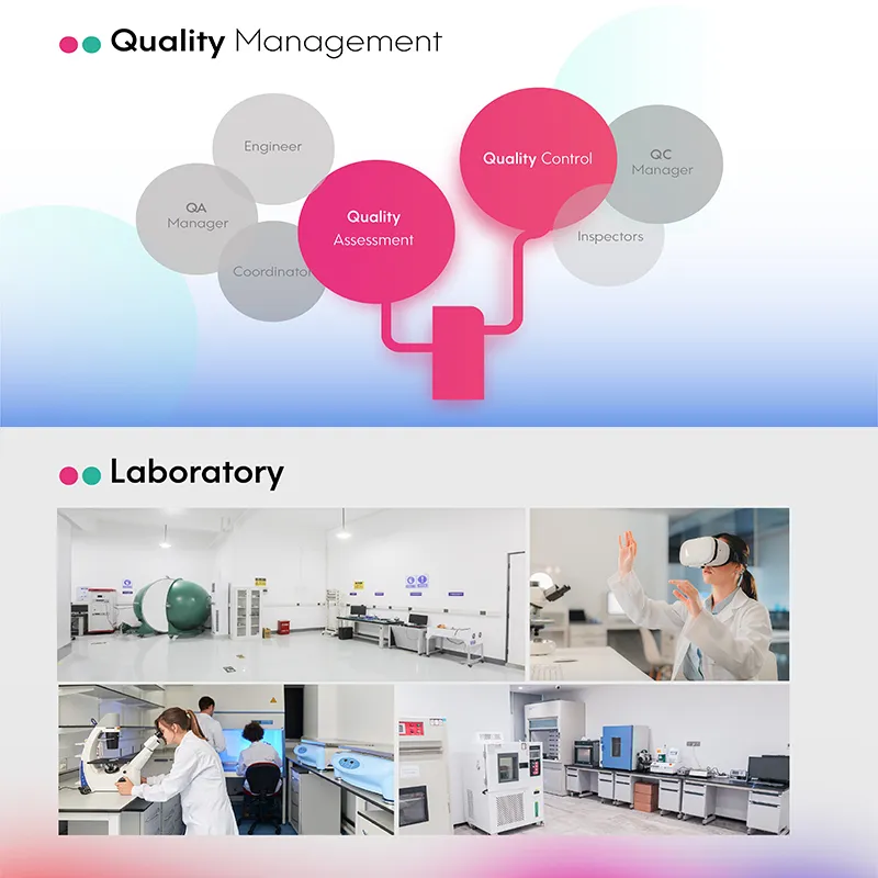 Dinosaur Model View 7