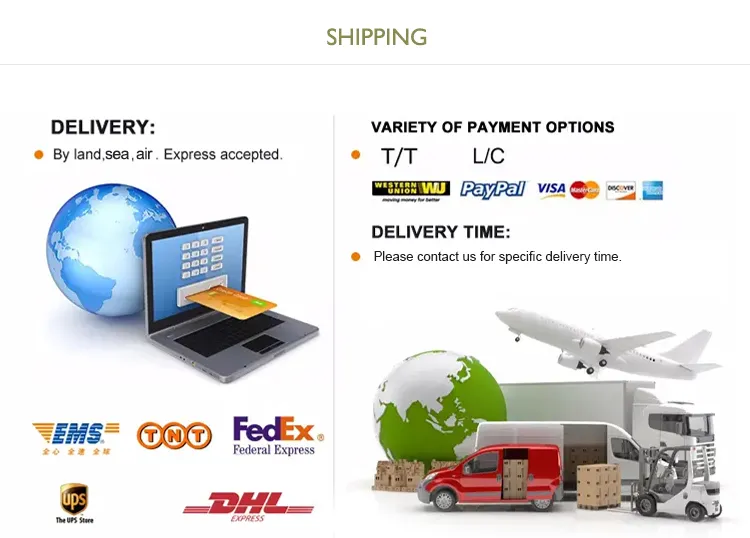 Shipping and Logistics