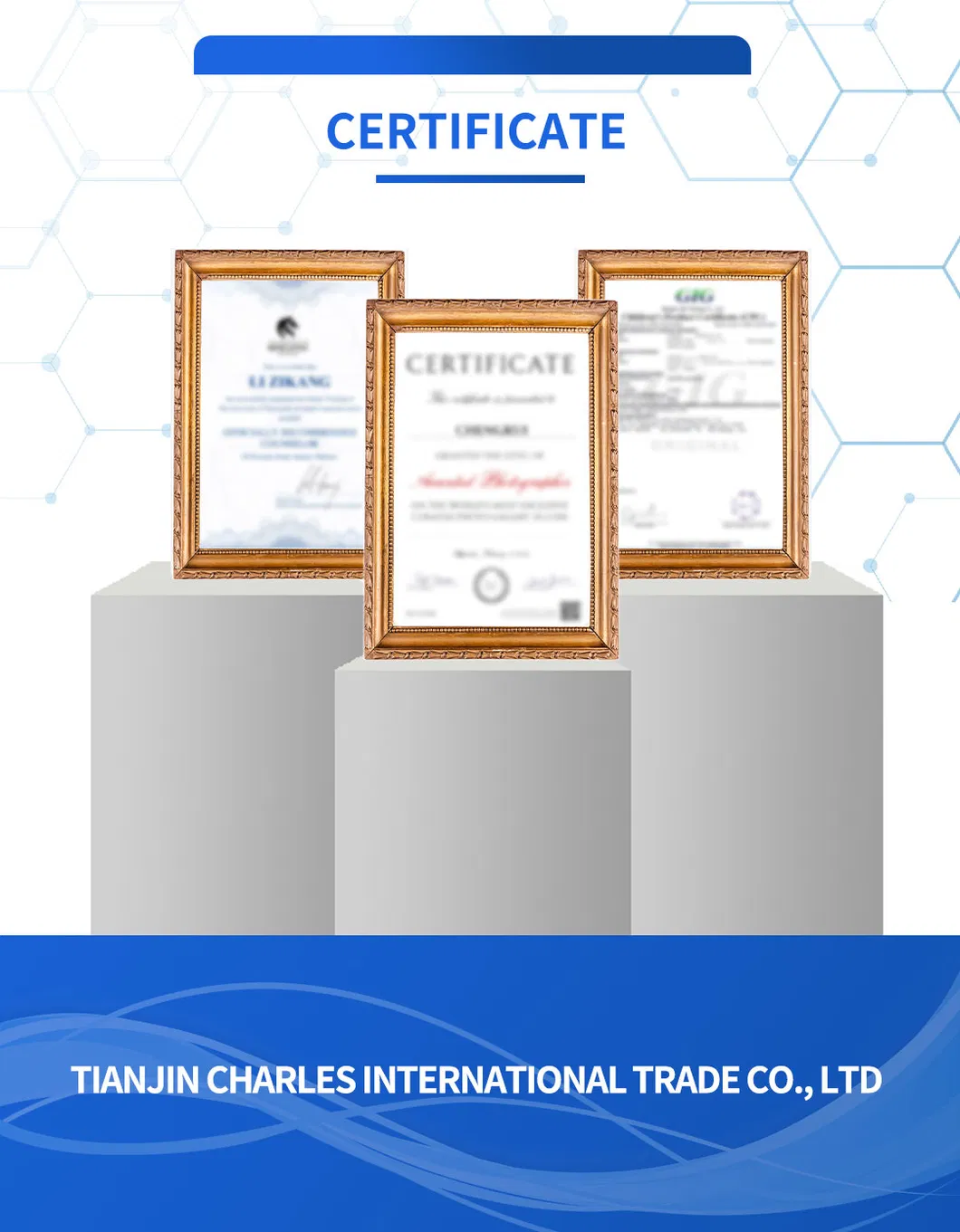 Cast Iron Sculpture 5