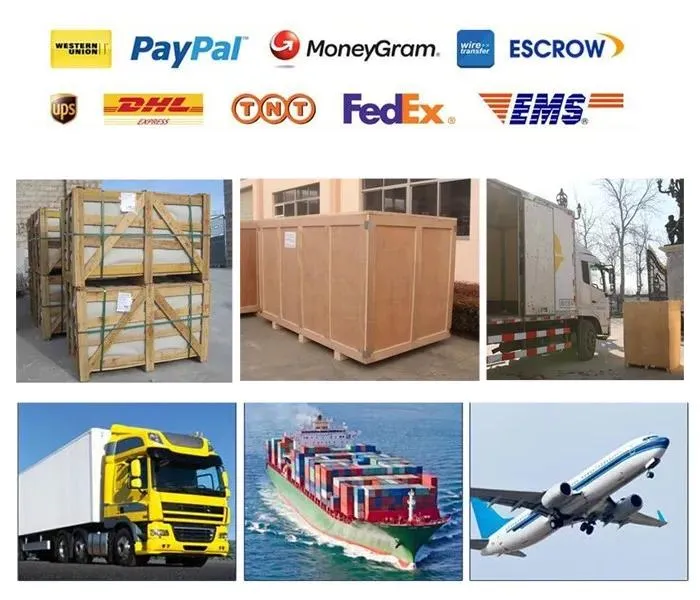 Packaging and Logistics