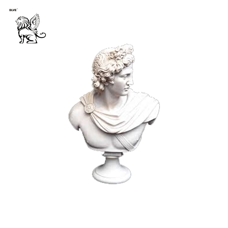 White Marble Roman Custom Figure Head Bust Statue Mfsg-22