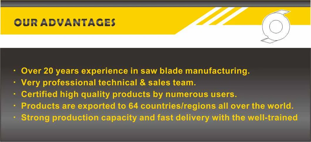 Circular Saw Blade Teeth