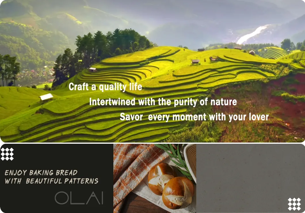 Dough Whisk Main View