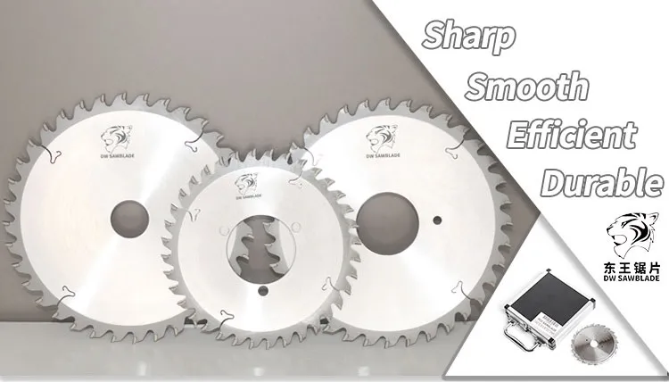 Scoring Saw Blade Detail