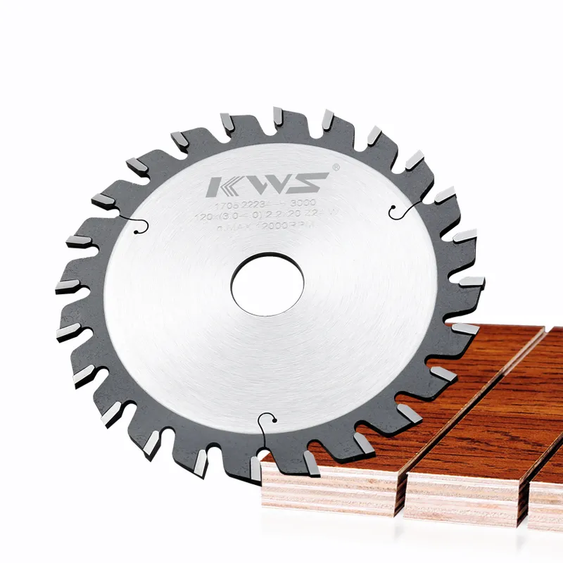 Carbide Scoring Saw Blade Detail 1