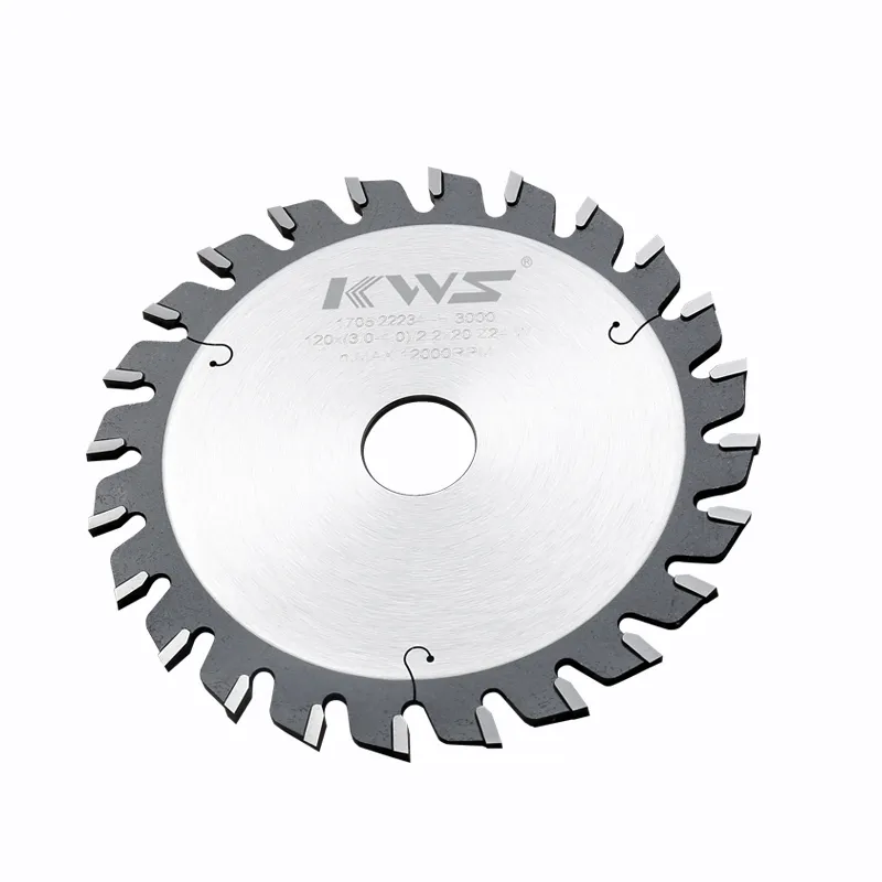 Carbide Scoring Saw Blade Detail 2