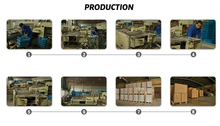 Producto 8