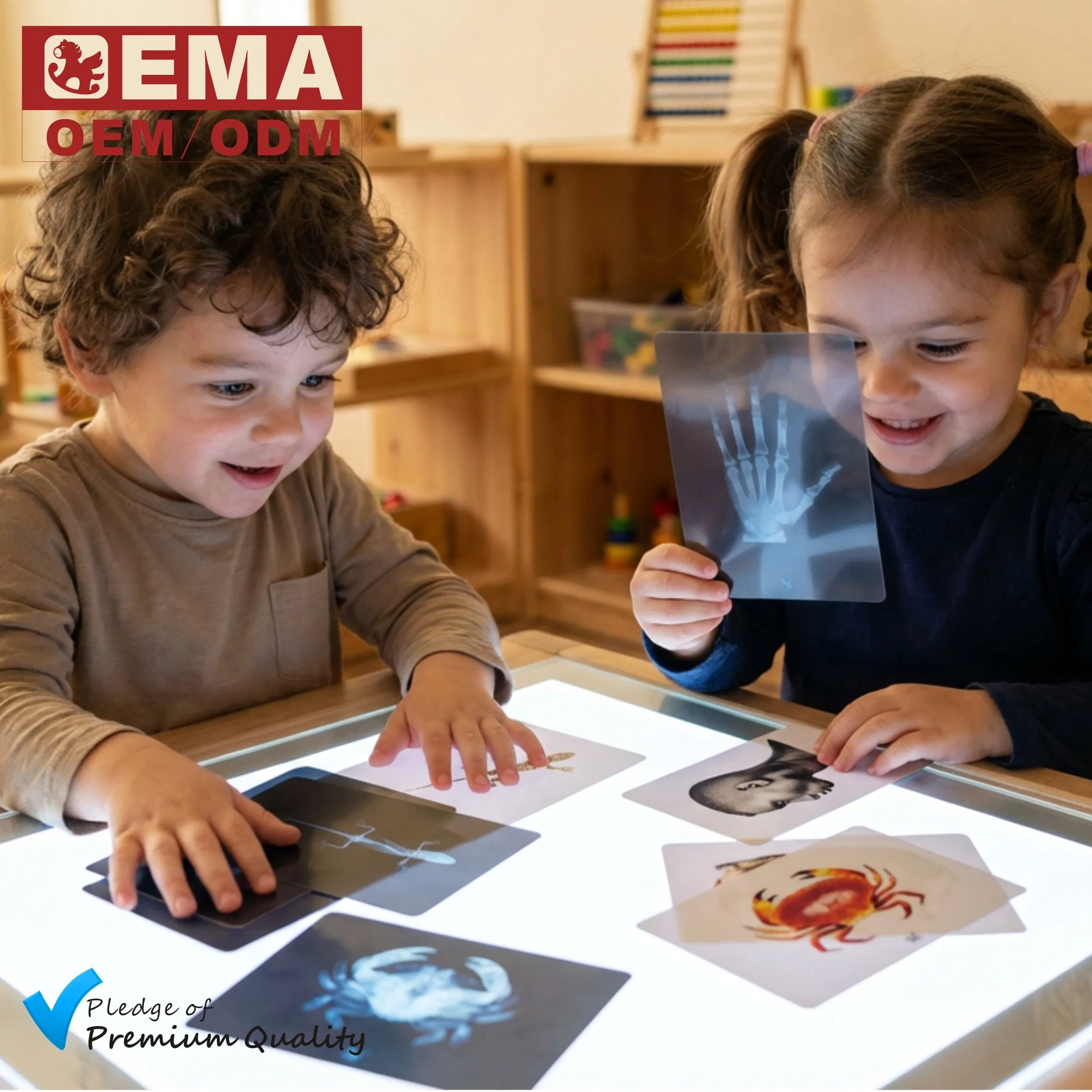 Juguetes educativos de madera para niños pequeños, experiencia de descubrimiento científico, exploración para jardín de infantes, cuidado infantil, guardería y preescolar con experimentos básicos