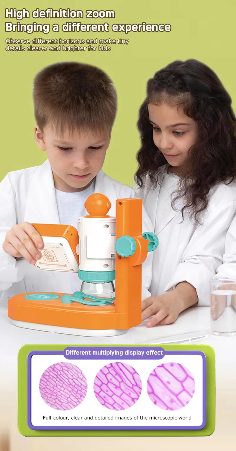 Componentes microscopio