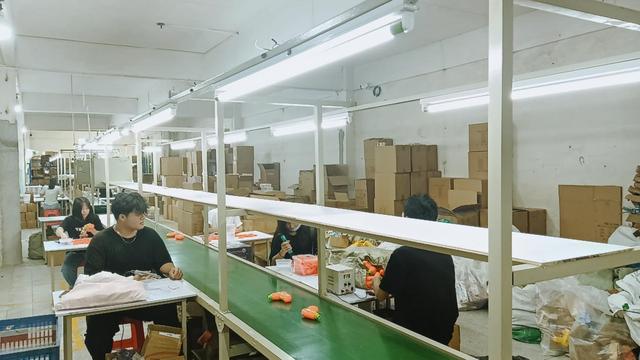 Dongguan Dees Toys fábrica de juguetes educativos en China