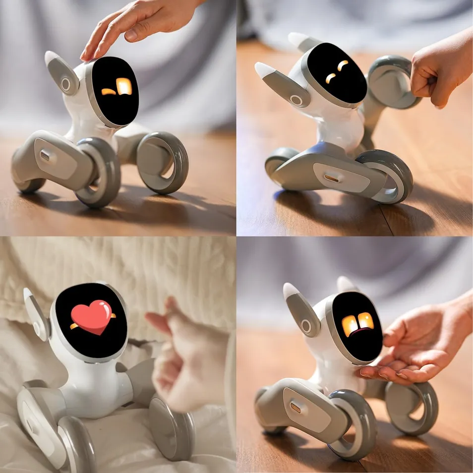 Programación Loona