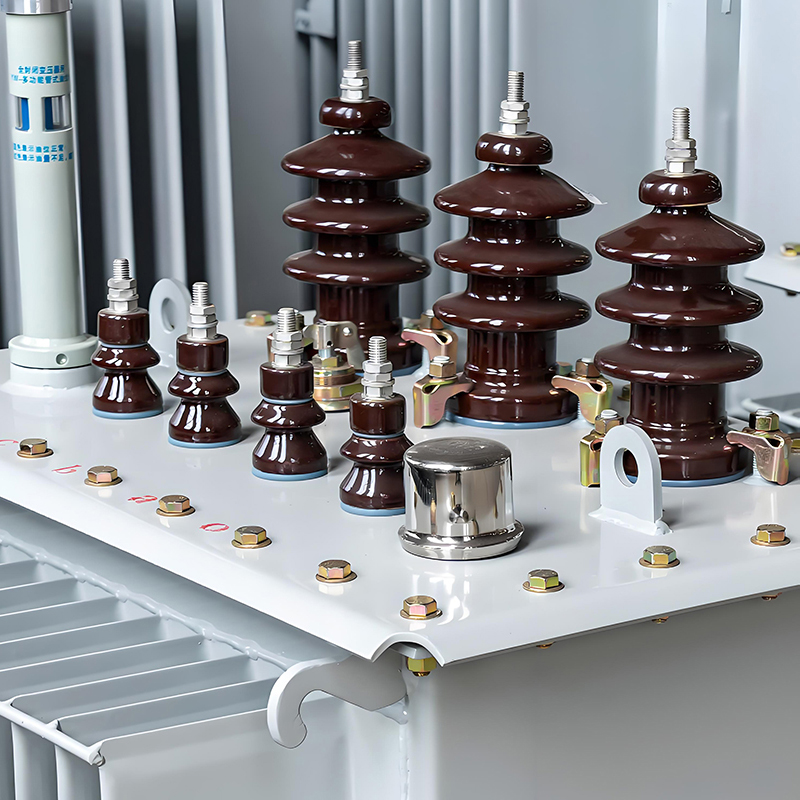 Oil-immersed distribution transformer