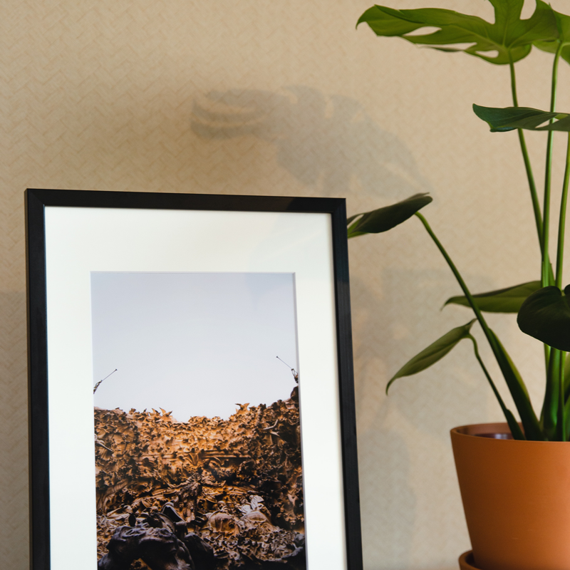 Photo Frame Display 4